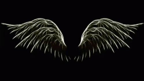 Kebo Wings GIF - Kebo Wings Flying GIFs