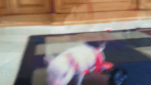 a painting of a fish with a red tail on a table