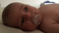 Baby Pacifier GIF - Baby Pacifier Snuggle GIFs