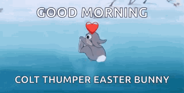 a bunny with a heart in its mouth is floating in the water .