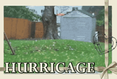 a picture of a basketball hoop with the word hurricage under it