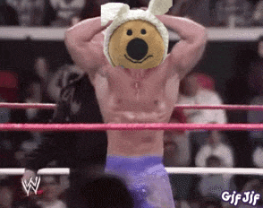 a man in a wrestling ring with a stuffed bear on his head