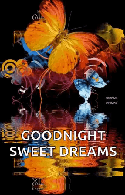 a colorful butterfly with the words goodnight sweet dreams written below it