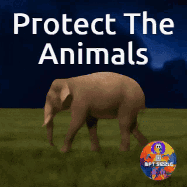 Animals Protect Animal GIF - Animals Protect Animal Extinct GIFs