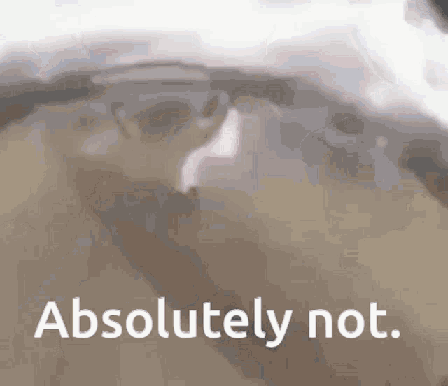 a picture of a horse with the words " absolutely not " on the bottom