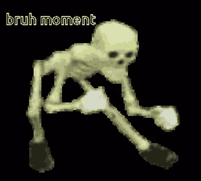 a pixelated image of a skeleton with the words bruh moment written below it