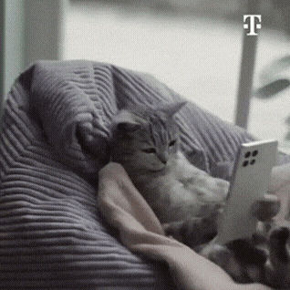 a cat laying on a bean bag chair using a cell phone
