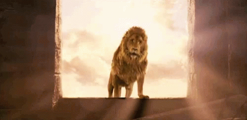 Aslan Lion GIF - Aslan Lion Narnia GIFs