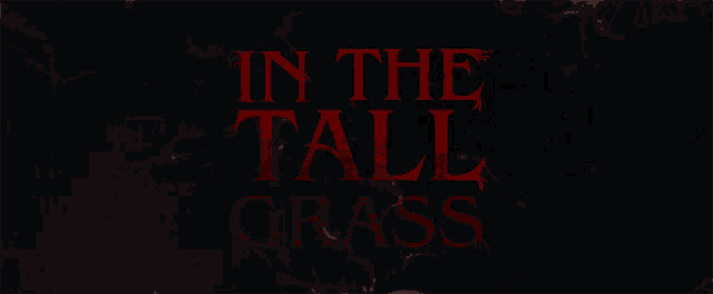 in the tall grass is written in red letters on a dark background