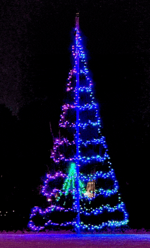 a christmas tree with blue and purple lights