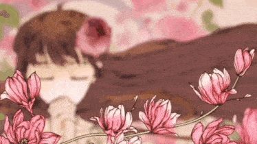 a girl is laying in a field of pink flowers .