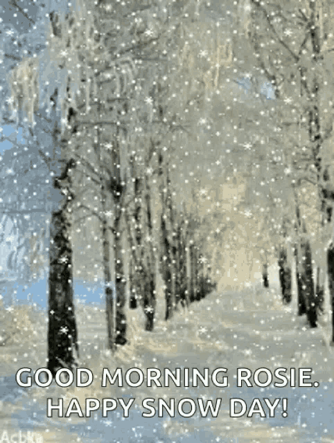 a snowy forest with trees covered in snow and the words `` good morning rosie , happy snow day '' .