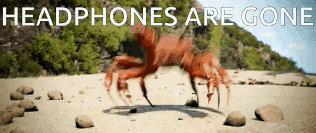 Crab Rave GIF - Crab Rave GIFs