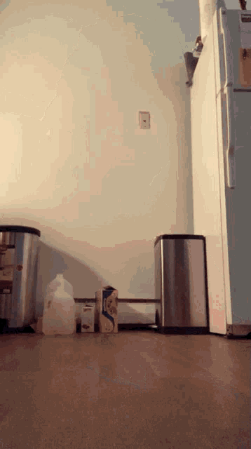 a carton of oatmeal sits on the floor next to a gallon of milk