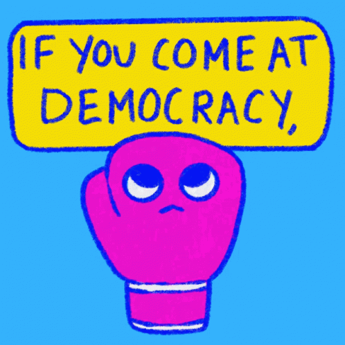 If You Come At Democracy You Best Not Miss GIF - If You Come At Democracy You Best Not Miss Democracy GIFs