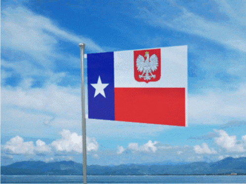 Texas Polska GIF - Texas Polska Polish American GIFs