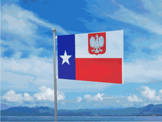 a red white and blue flag with a white star on the bottom