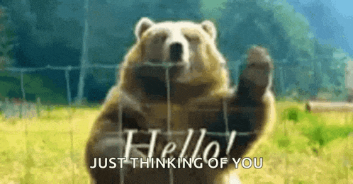a grizzly bear is waving its paw in front of a fence and says hello ! just thinking of you .