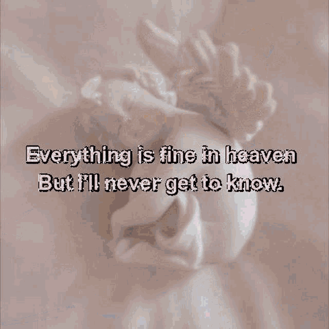 a picture of angel wings with a quote that says everything is fine in heaven but i 'll never get to know .