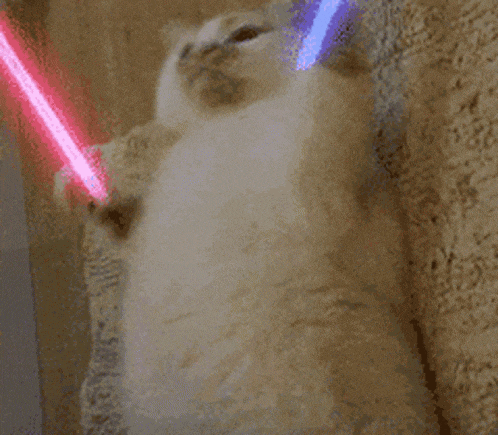 a cat is playing with a light saber on its head