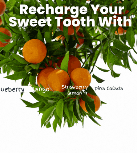an orange tree with the words recharge your sweet tooth with written on it