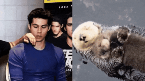 a man in a blue shirt next to a picture of a sea otter