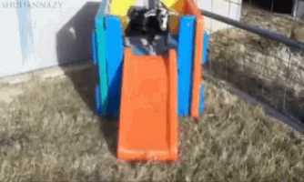 a picture of a goat on a slide with the caption " shihannanazy "