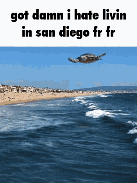 a sea turtle is flying over the ocean with the words got damn i hate livin in san diego fr fr