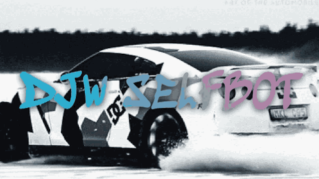 a picture of a car with the words dj selfbot written on it