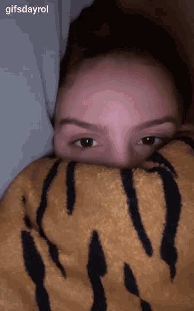 a woman hiding behind a tiger print blanket with gifsdayrol written below her