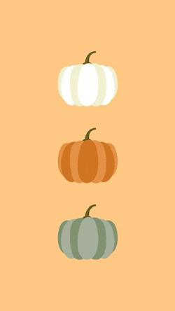 three pumpkins are lined up in a row on a yellow background .