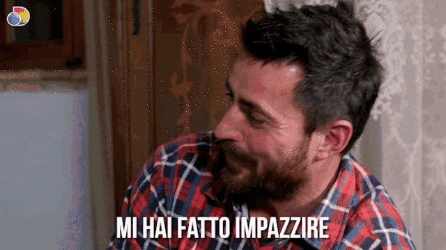 a man in a plaid shirt has the words mi hai fatto impazzire above his head
