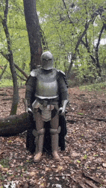 a knight in armor is standing in the middle of a forest