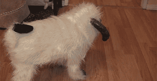 a pug dog wearing a costume with horns on its head