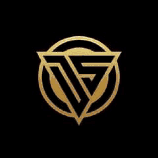 a black and gold logo with a triangle in the center of a circle