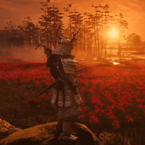 a samurai stands on a rock in a field of red flowers
