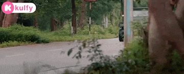 a car is driving down a road next to a forest .