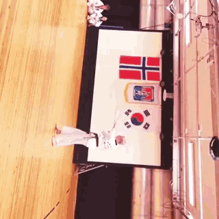 a person stands in front of a large screen with flags on it