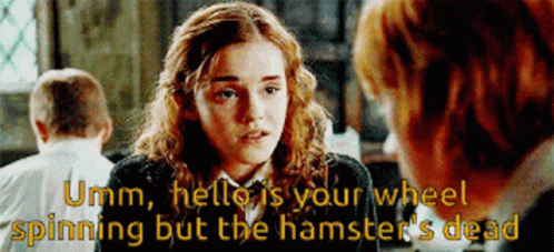 Harry Potter Hermione Granger GIF - Harry Potter Hermione Granger Ron Weasley GIFs