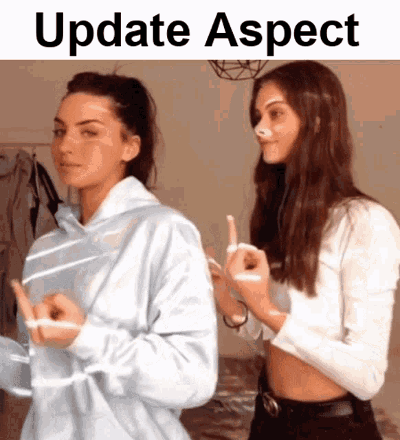 Update Aspect Aspect Meme GIF - Update Aspect Aspect Meme Krnl GIFs