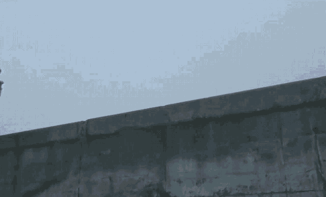 a person standing on a wall holding a book