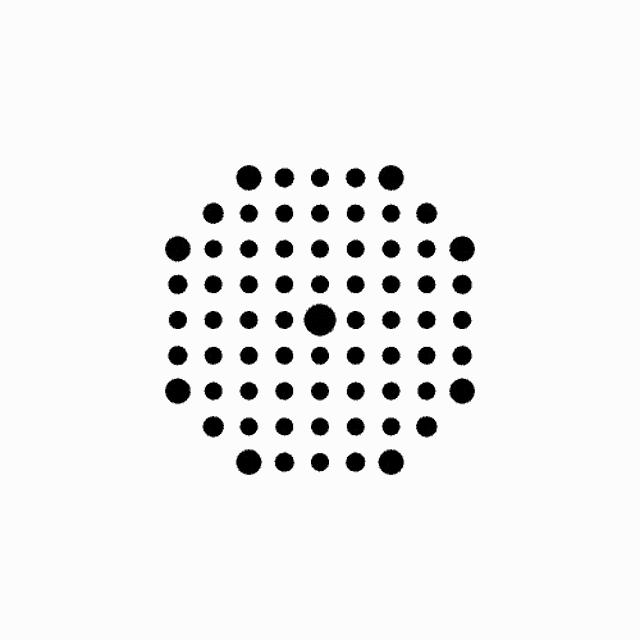 a black and white circular pattern on a white background looks like a kaleidoscope