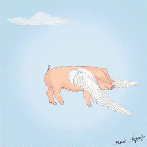 Pig Flying GIF - Pig Flying Wings GIFs
