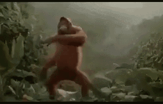 Happy Orangutan GIF - Happy Orangutan Dancing GIFs