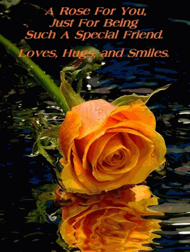 A Rose For You Orange Rose GIF - A Rose For You Orange Rose My Special Friend GIFs
