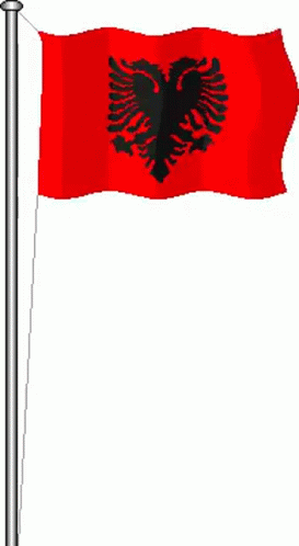 Flamuri Flag GIF - Flamuri Flag Bandiera GIFs