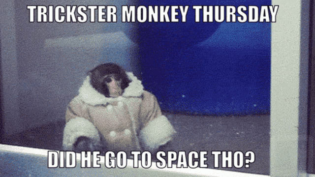 Trickster Monkey Thursday Trickster GIF - Trickster Monkey Thursday Trickster Monkey GIFs