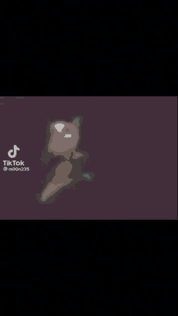 a blurred image of a cat standing on its hind legs on a wall .