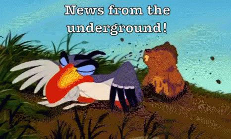 News From The Underground GIF - News Underground Lion King GIFs