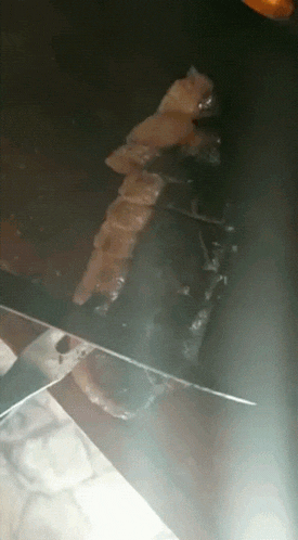 a close up of a knife cutting a piece of meat